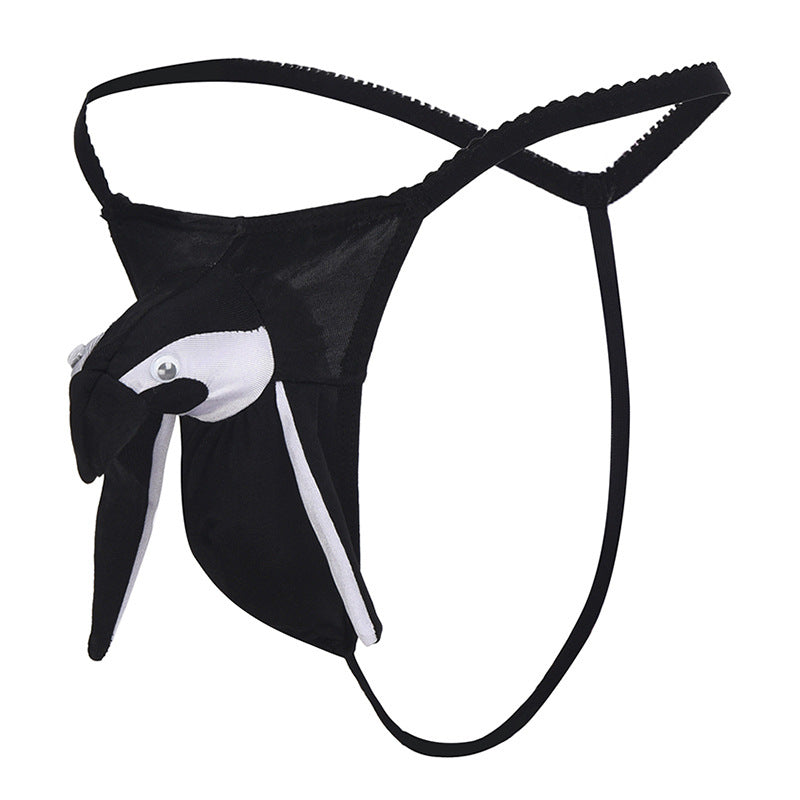 B 6pack Sexy man parrot underwear fashion man thong 50-90KG